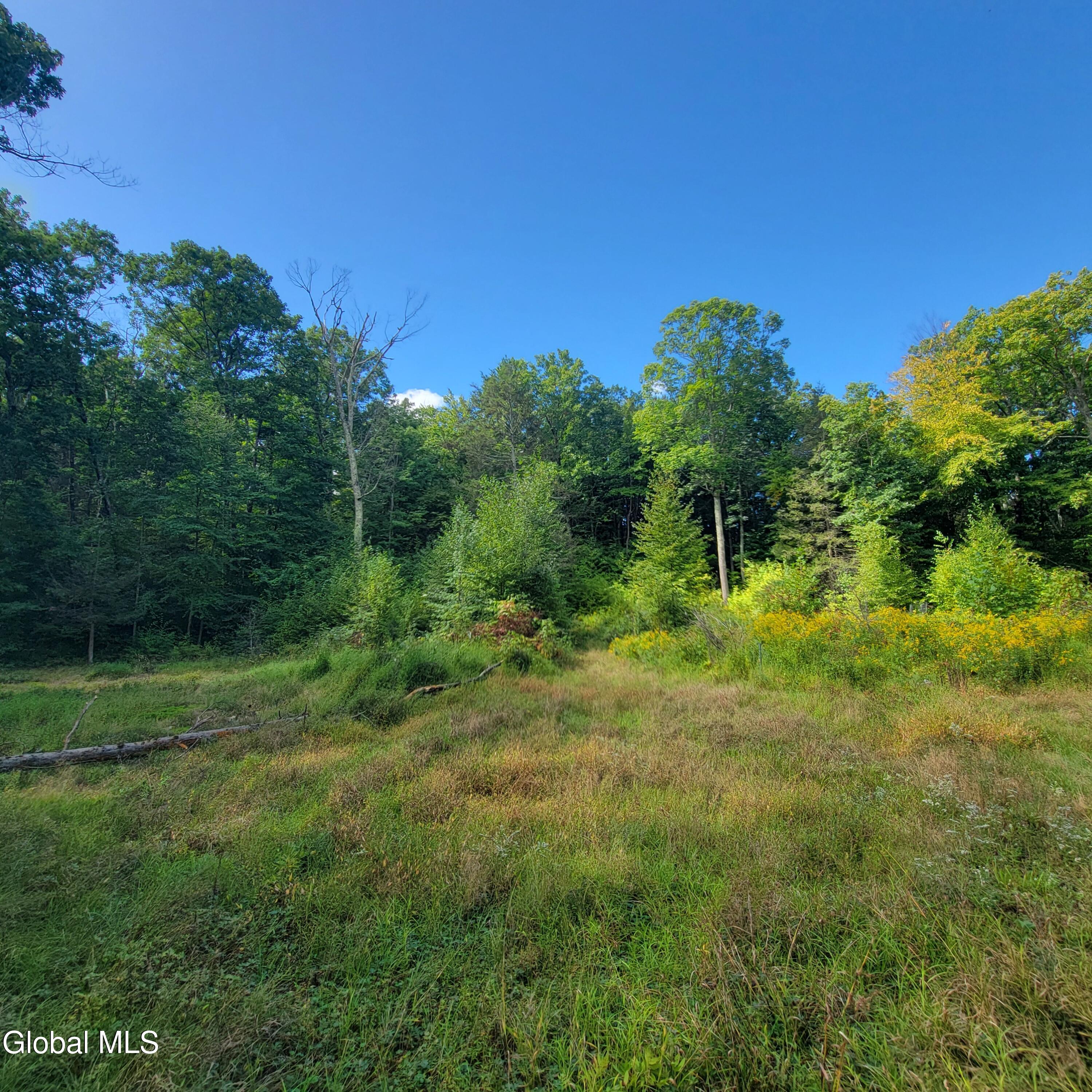 1711 County Route 27 Craryville NY 12521