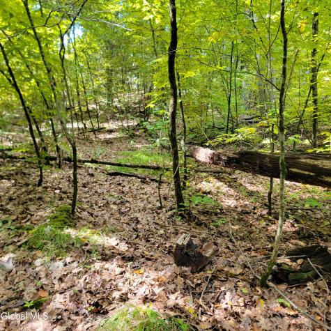 1711 County Route 27 Craryville NY 12521