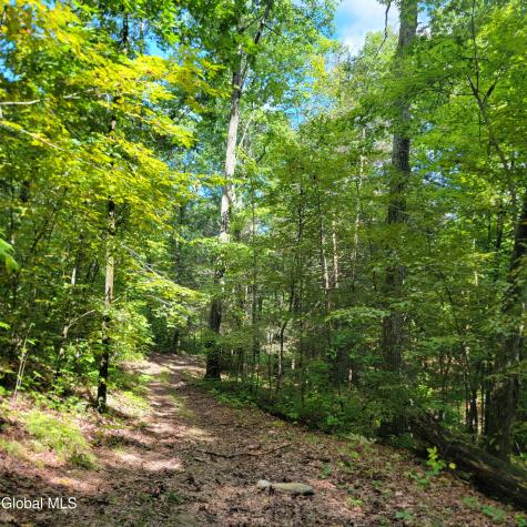 1711 County Route 27 Craryville NY 12521
