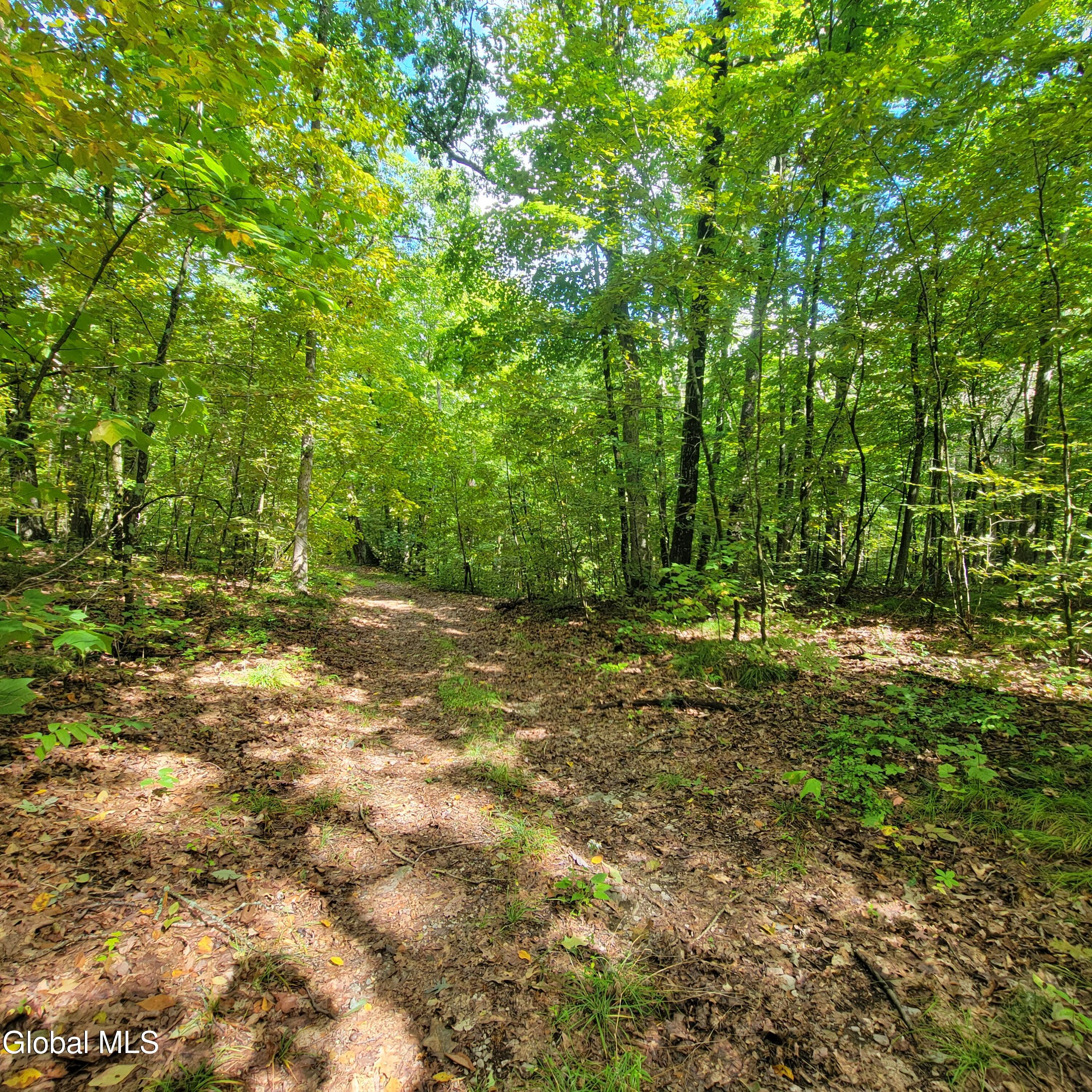 1711 County Route 27 Craryville NY 12521