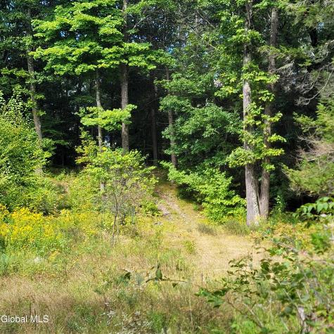 1711 County Route 27 Craryville NY 12521