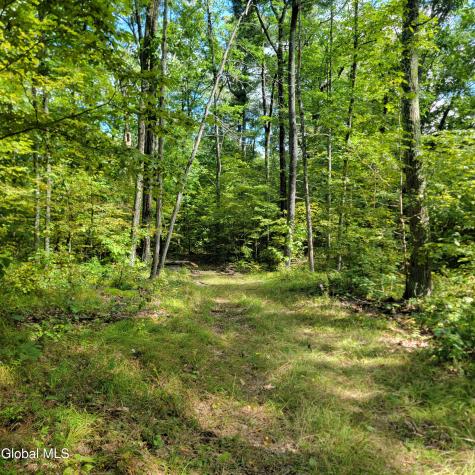 1711 County Route 27 Craryville NY 12521