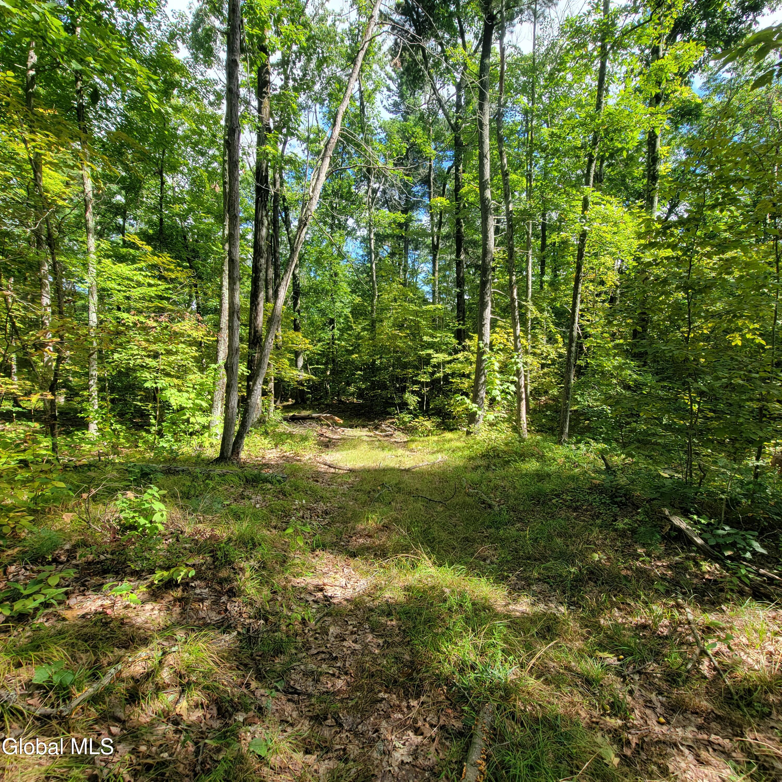 1711 County Route 27 Craryville NY 12521