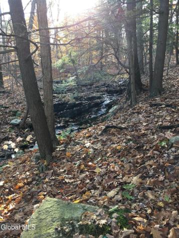 1711 County Route 27 Craryville NY 12521