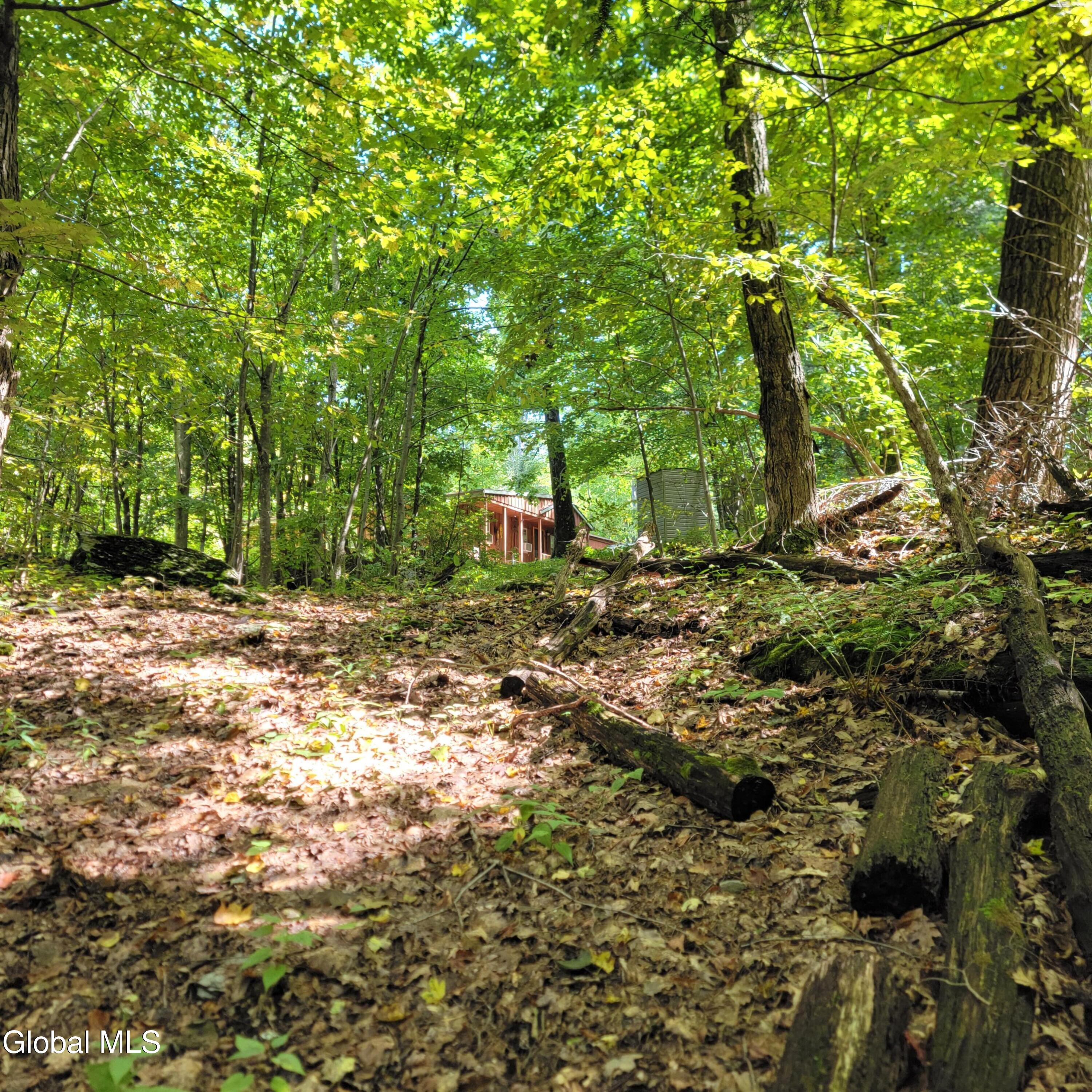 1711 County Route 27 Craryville NY 12521