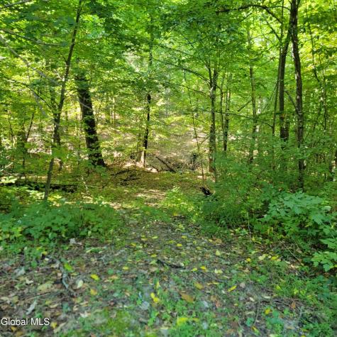 1711 County Route 27 Craryville NY 12521