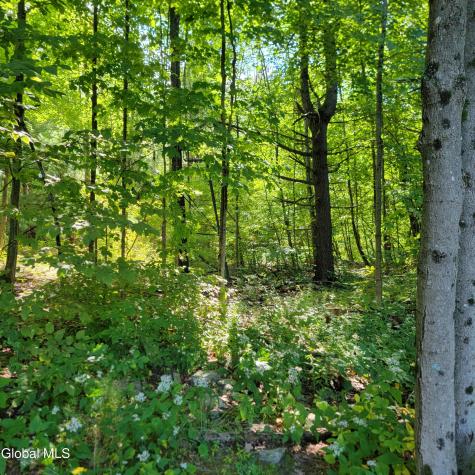 1711 County Route 27 Craryville NY 12521