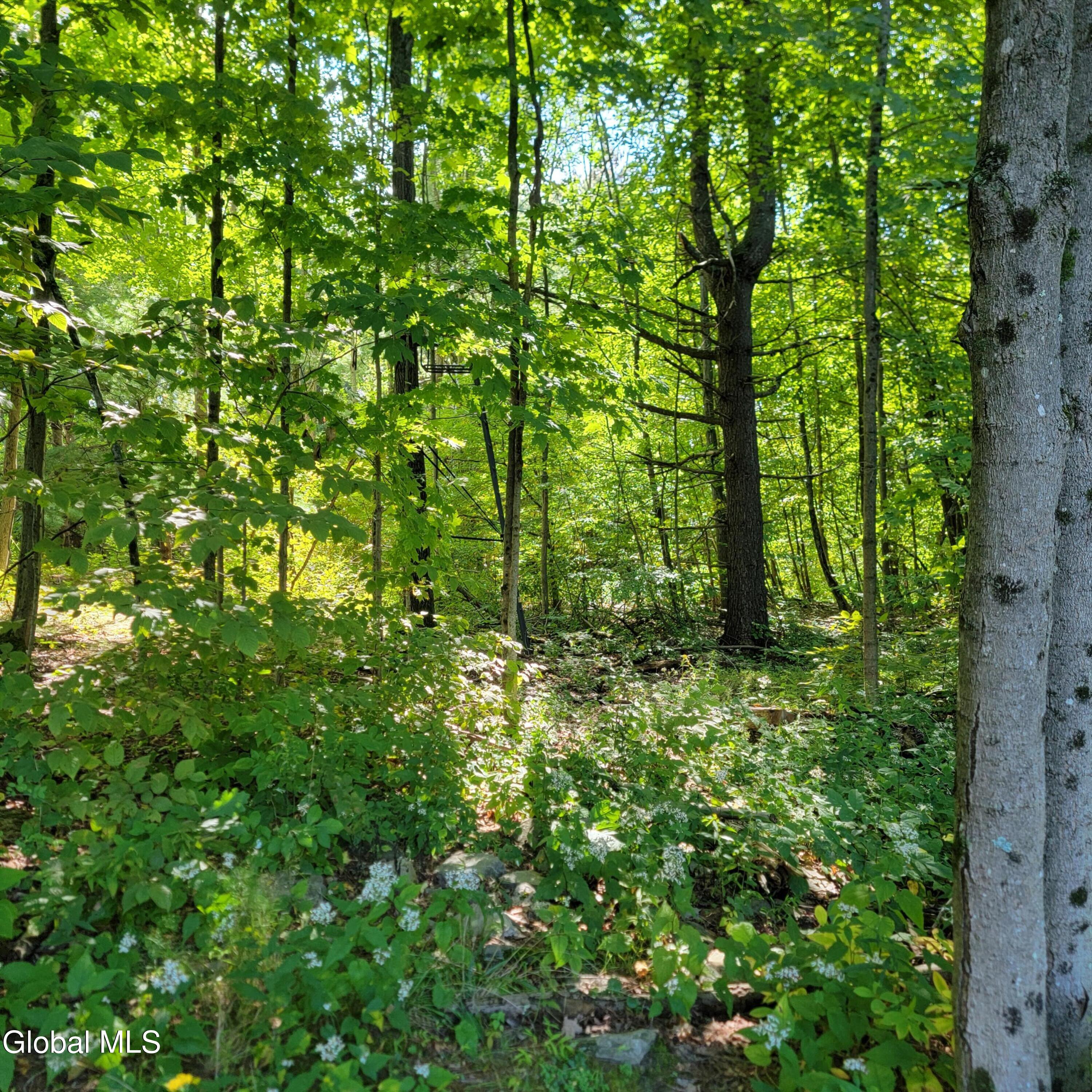 1711 County Route 27 Craryville NY 12521