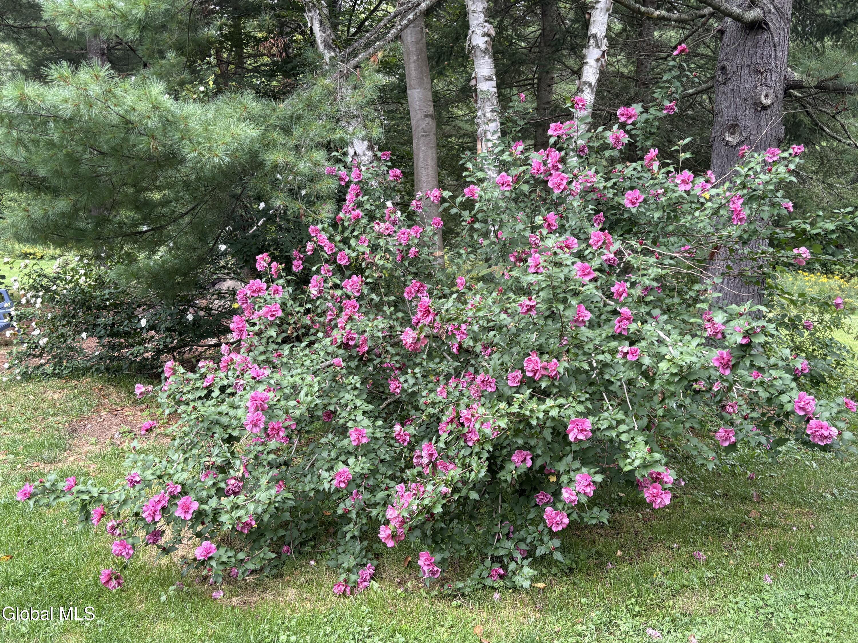 25 Forest Way Moriah NY 12960