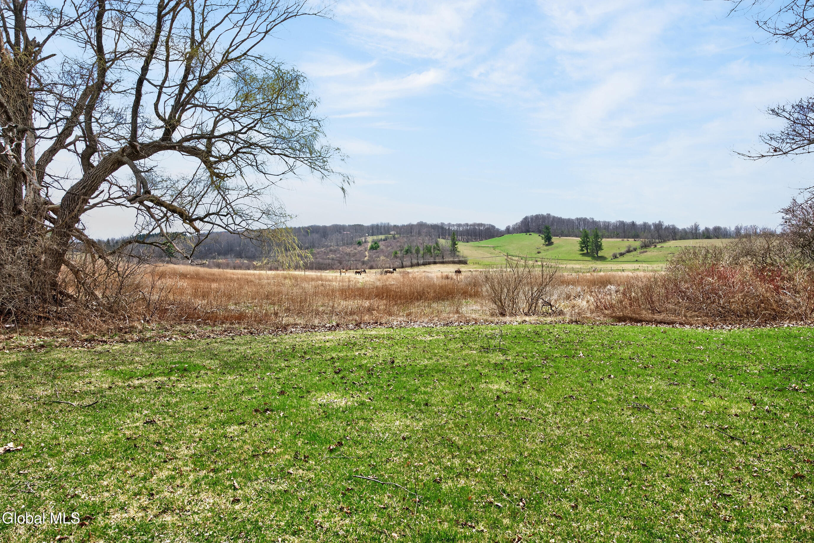 339 Helderberg Trail East Berne NY 12059