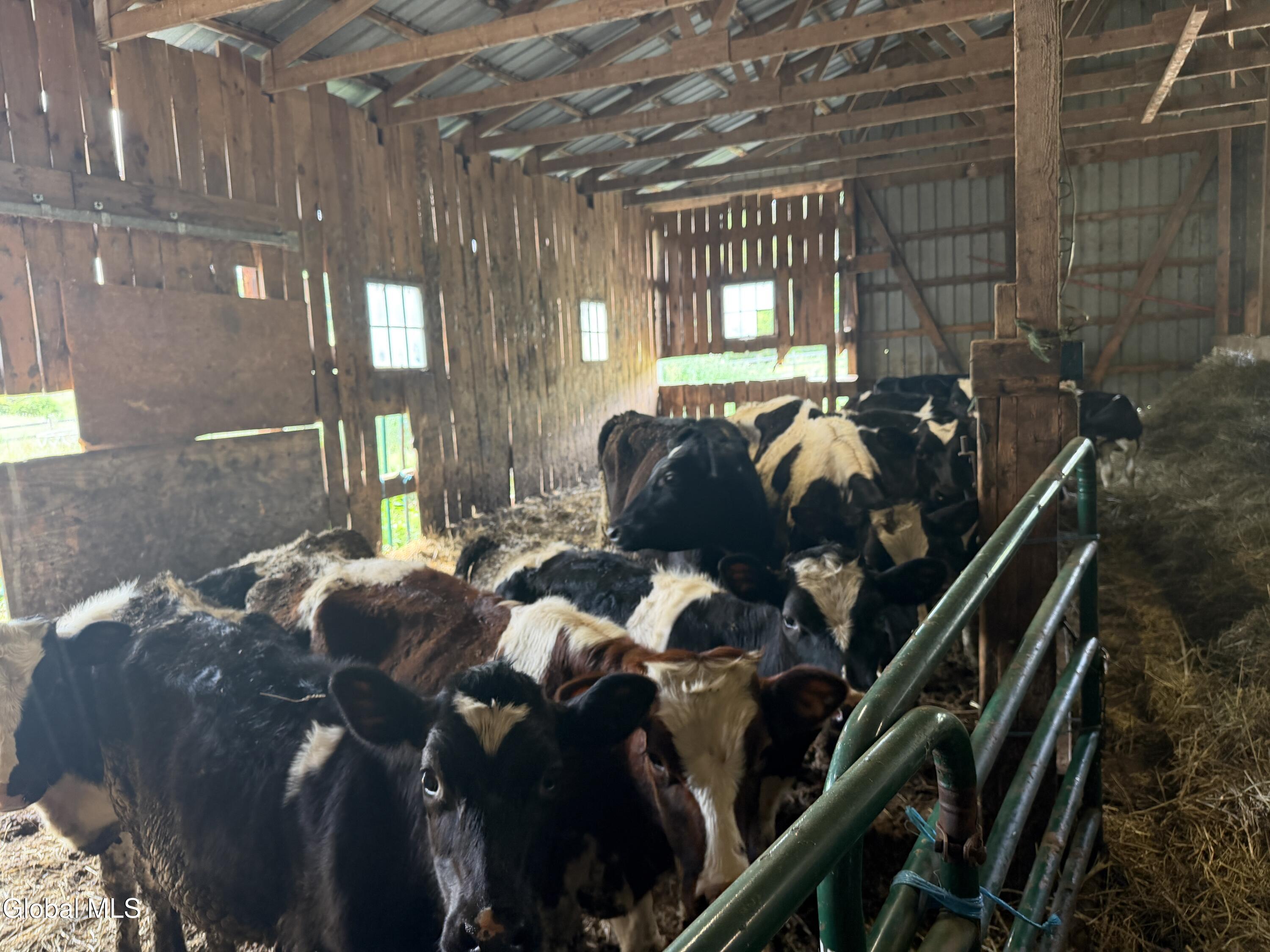 114 Tater Barn Road Cental Bridge NY 12035