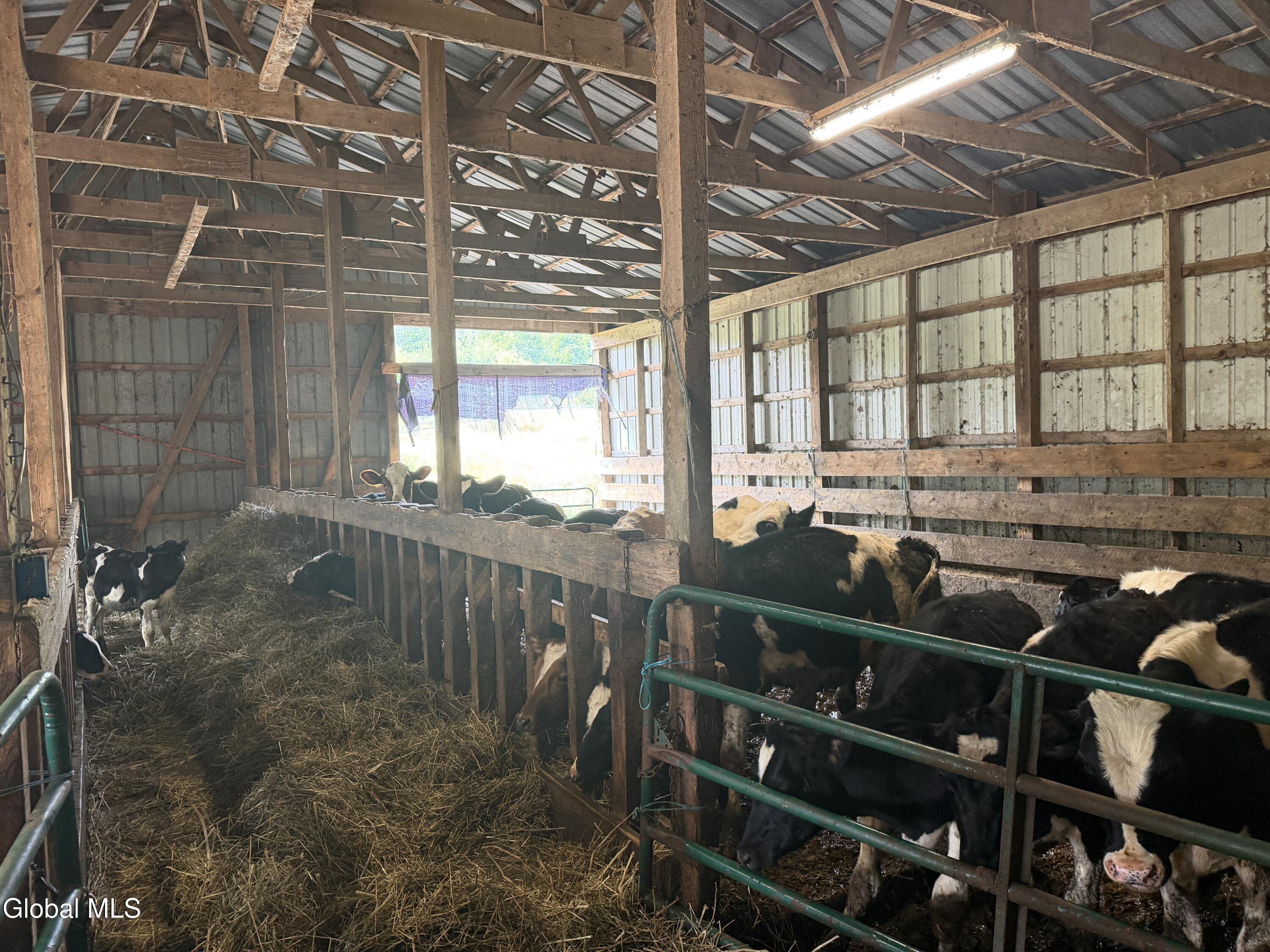 114 Tater Barn Road Cental Bridge NY 12035