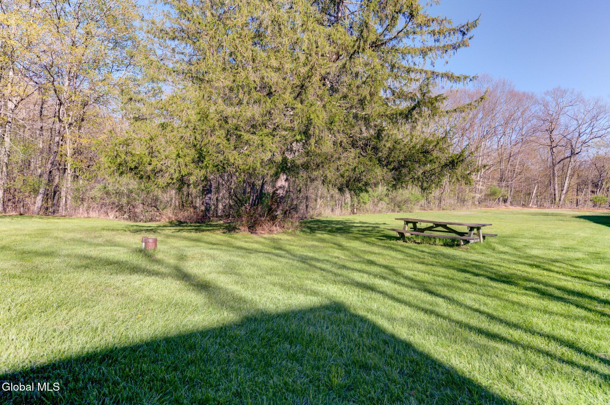 2933 Schoharie Turnpike Delanson NY 12053