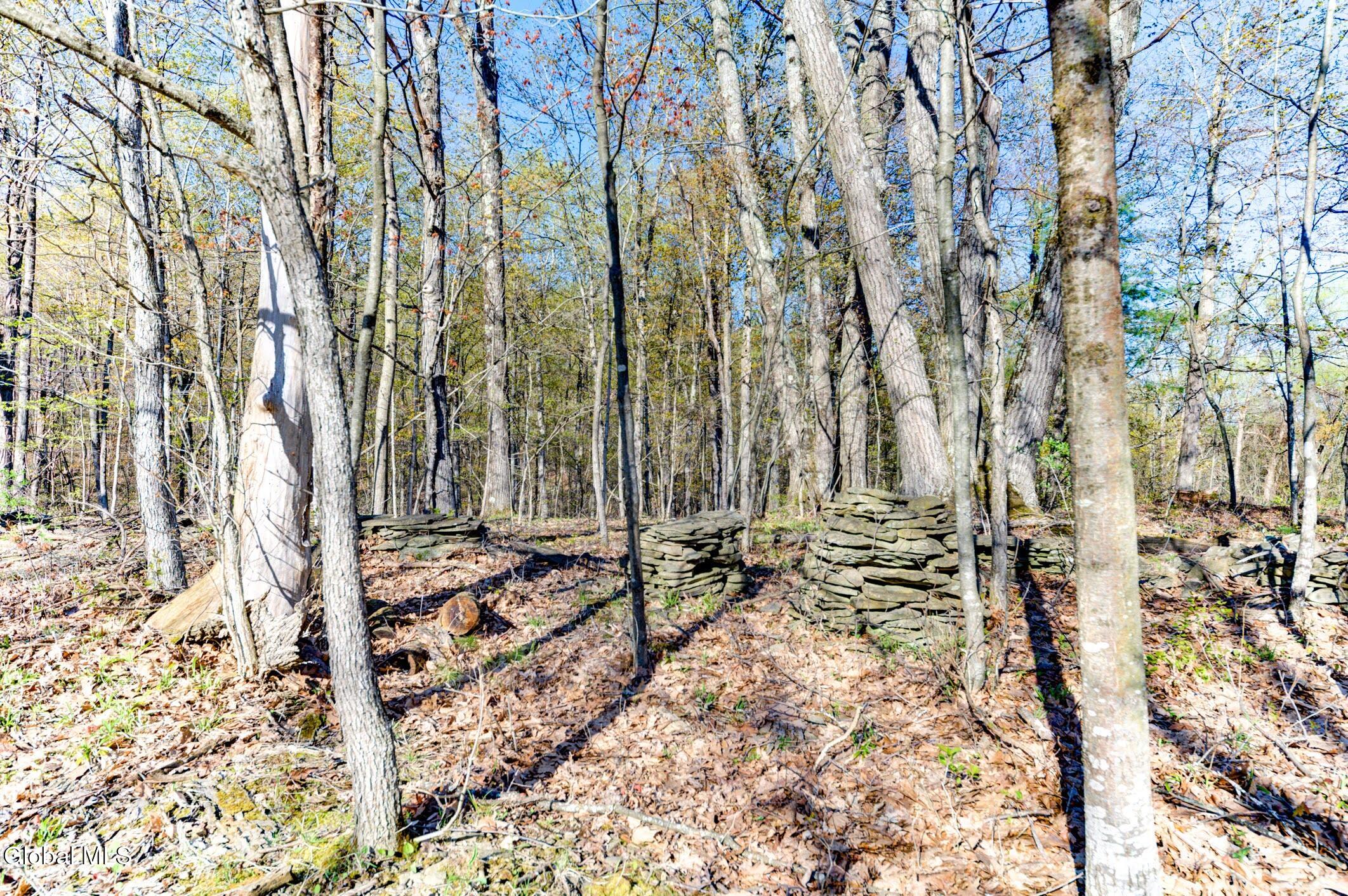 2933 Schoharie Turnpike Delanson NY 12053