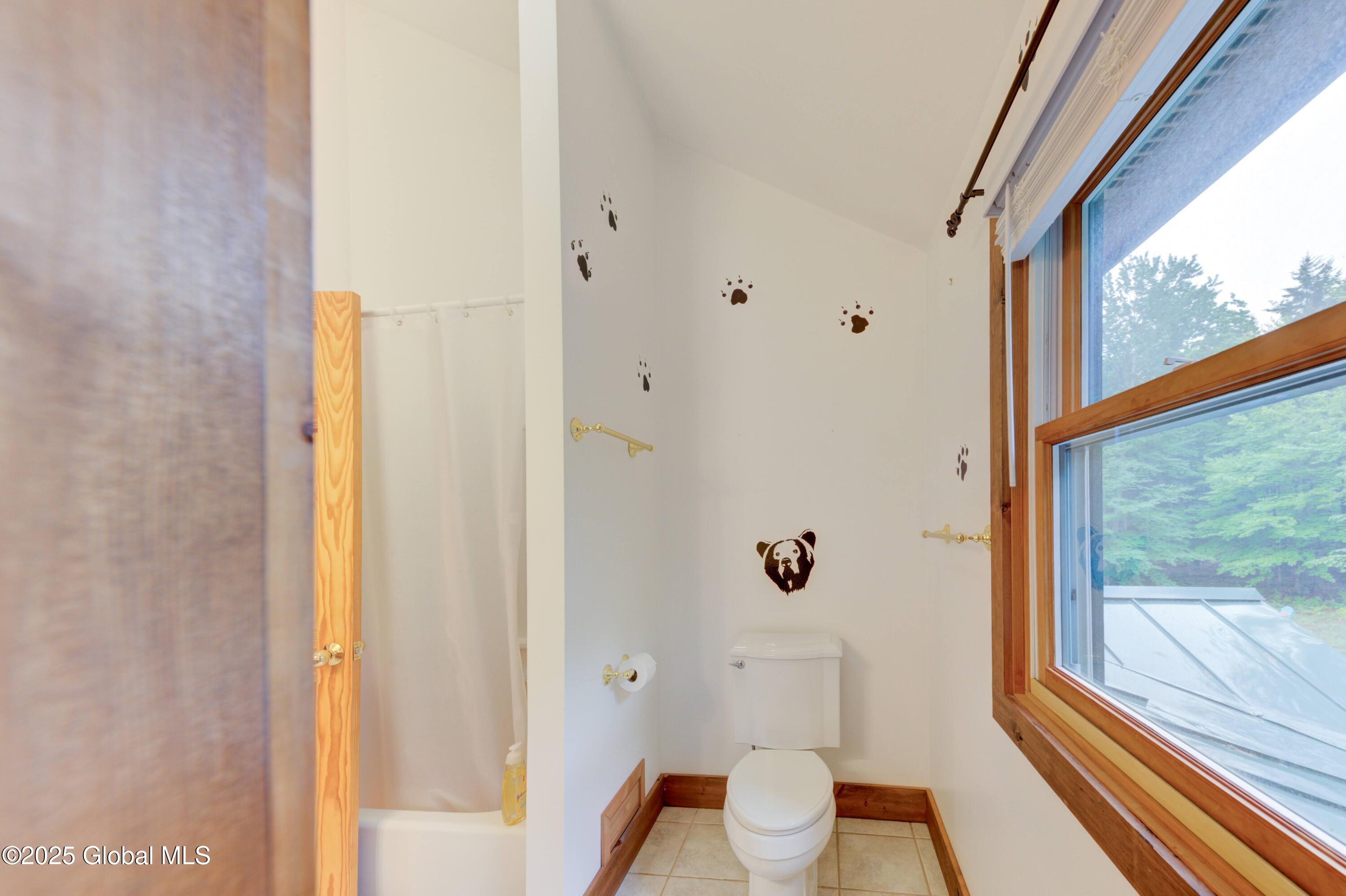 102 Taylor Court Mayfield NY 12117