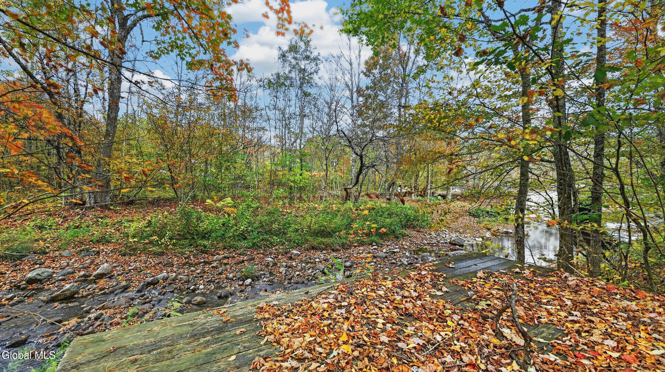 176 Hernandez Road Wells NY 12190