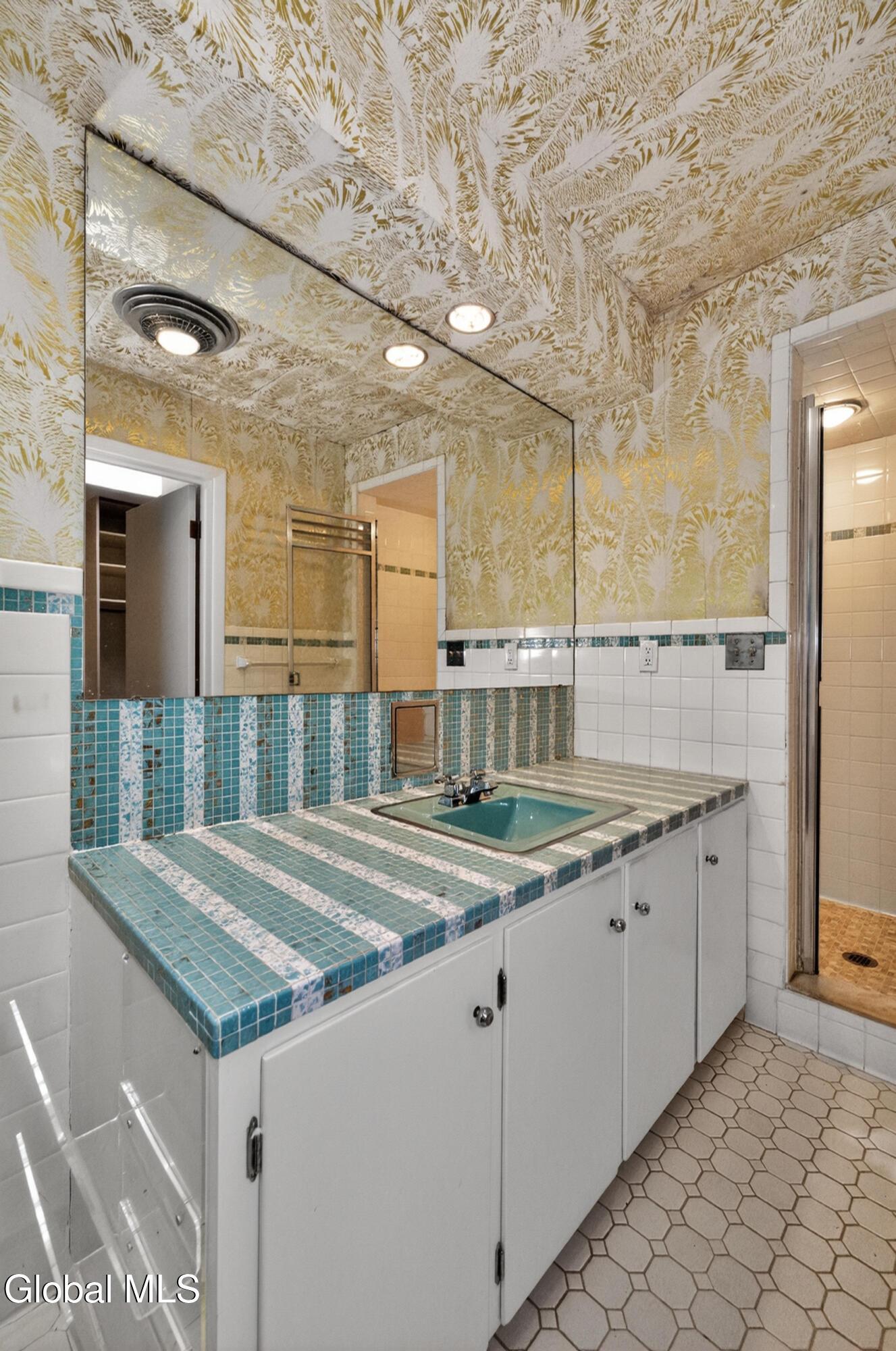 15 N Sage Hill Lane Menands NY 12204