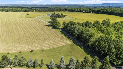 1338 Barton Hill Road Delanson NY 12053