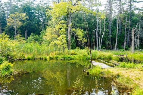 1451 Lake Avenue Lake Luzerne NY 12846