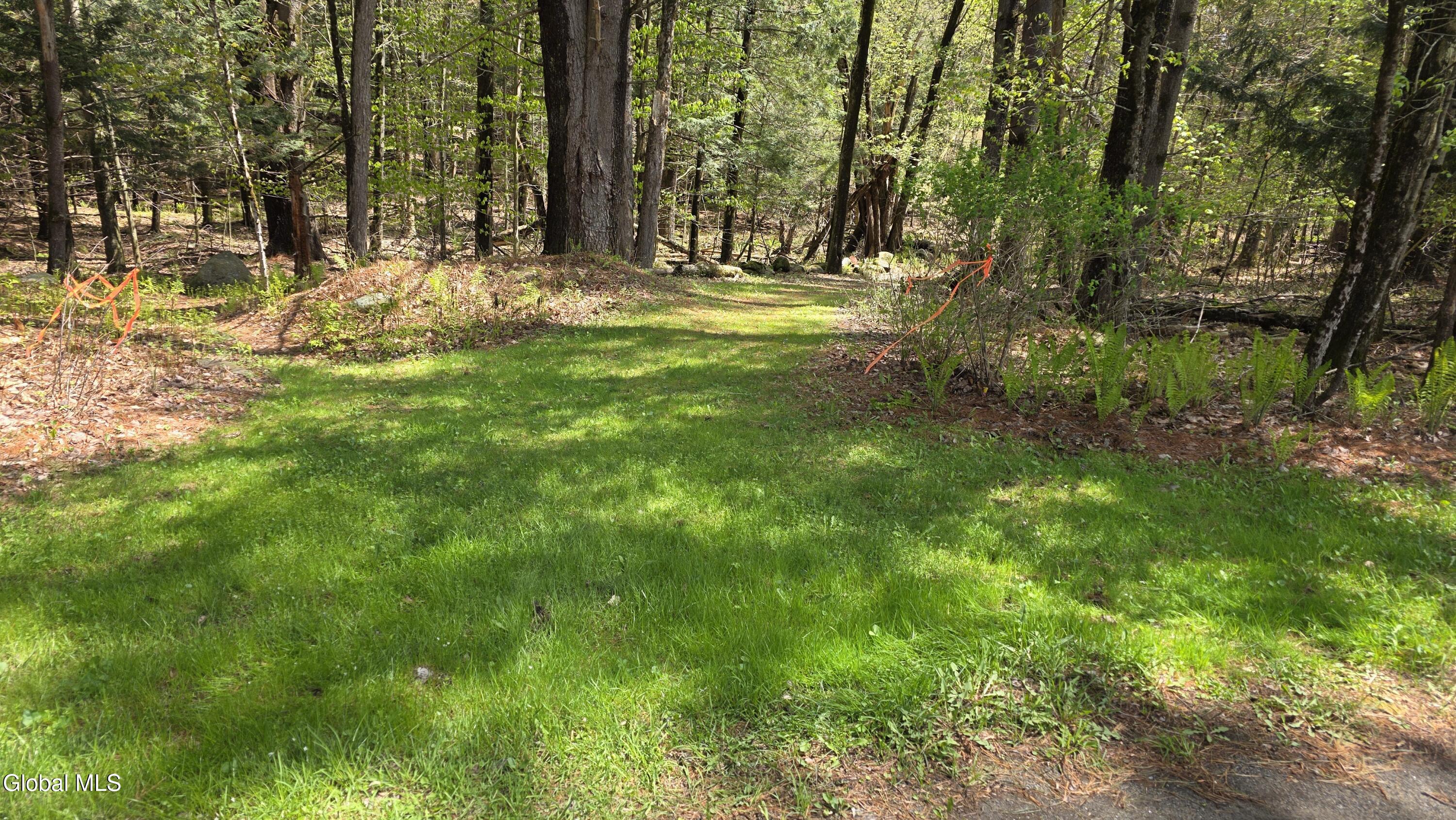 102 Longvue Lane Northville NY 12134