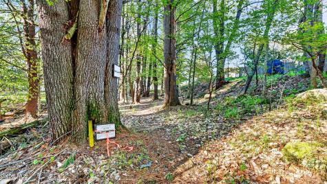 102 Longvue Lane Northville NY 12134