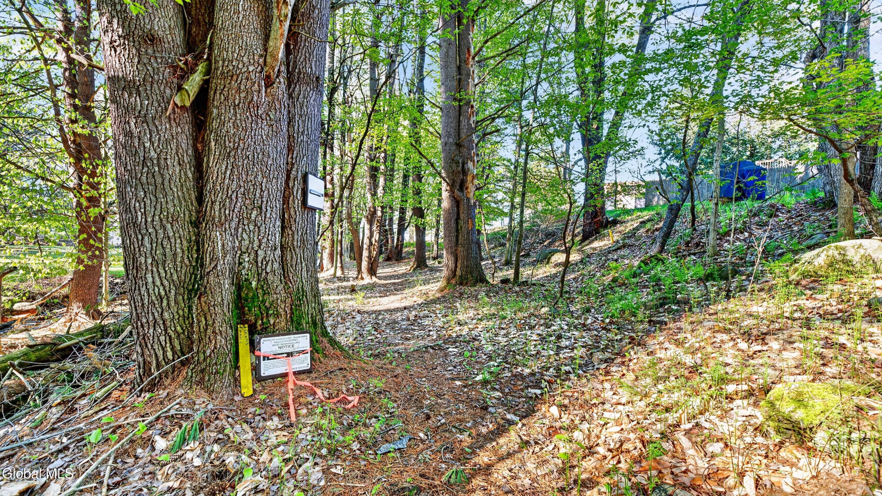 102 Longvue Lane Northville NY 12134