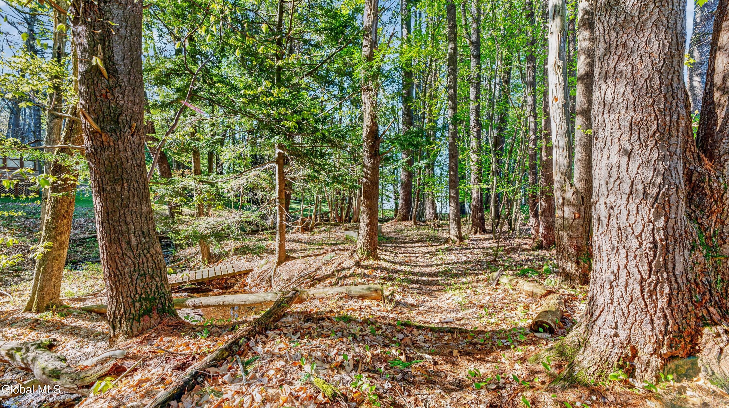102 Longvue Lane Northville NY 12134