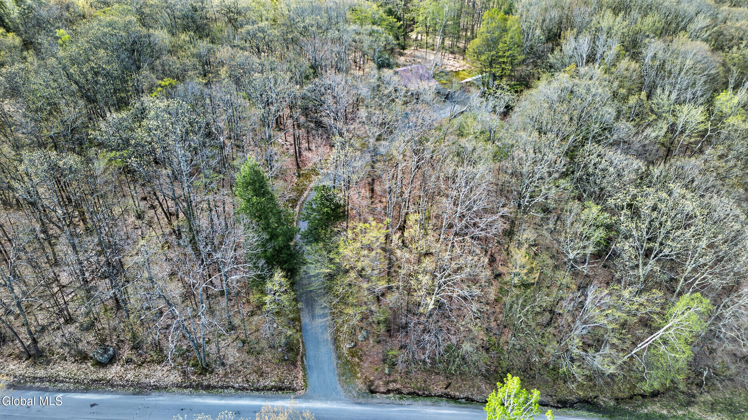 375 Momrow Road Sand Lake NY 12153