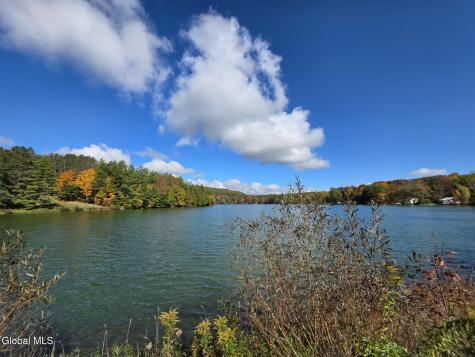 1623 Charlotte Valley Road Summit NY 12175