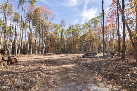 101 Sand Hill Road Greenfield Center NY 12833