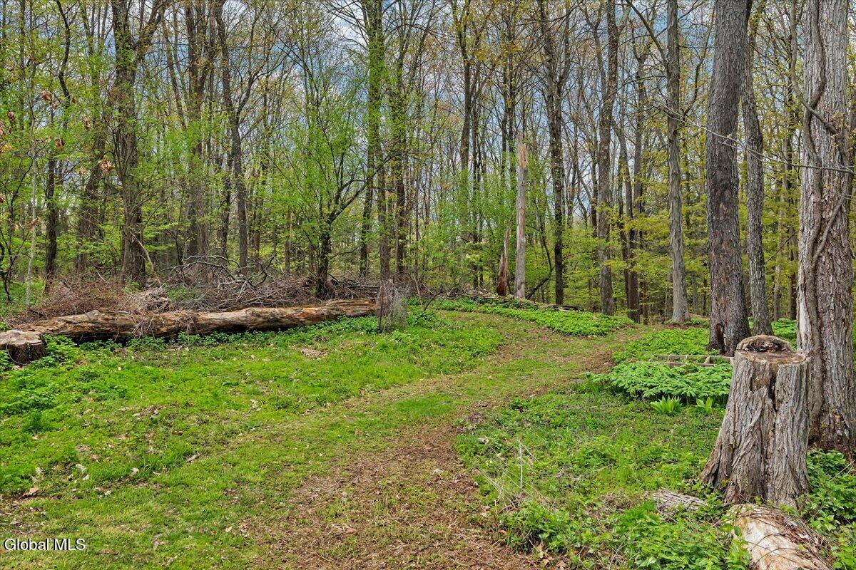 16 Garnsey Road Rexford NY 12148