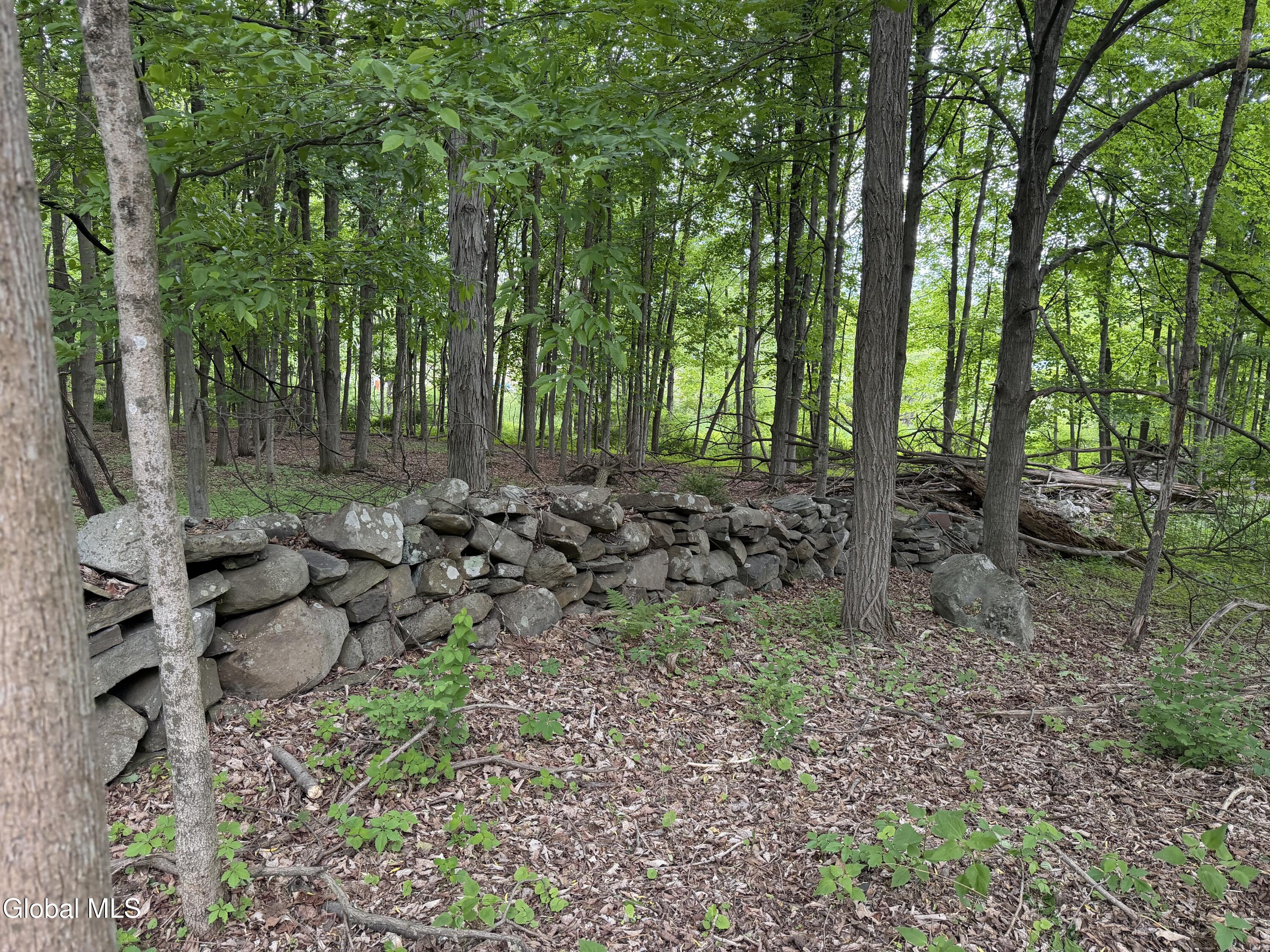 11342 State Route 32 Greenville NY 12083