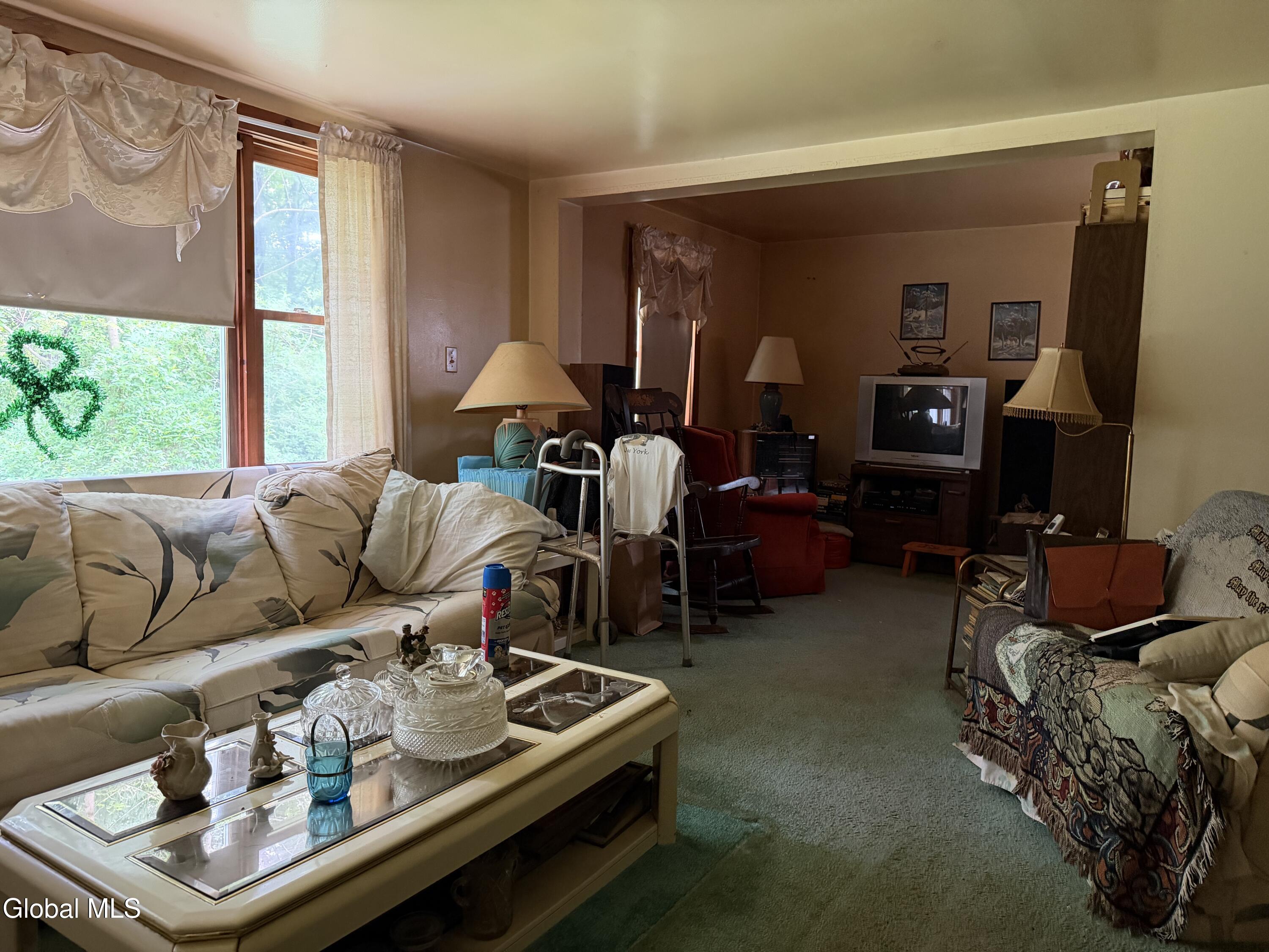 11342 State Route 32 Greenville NY 12083
