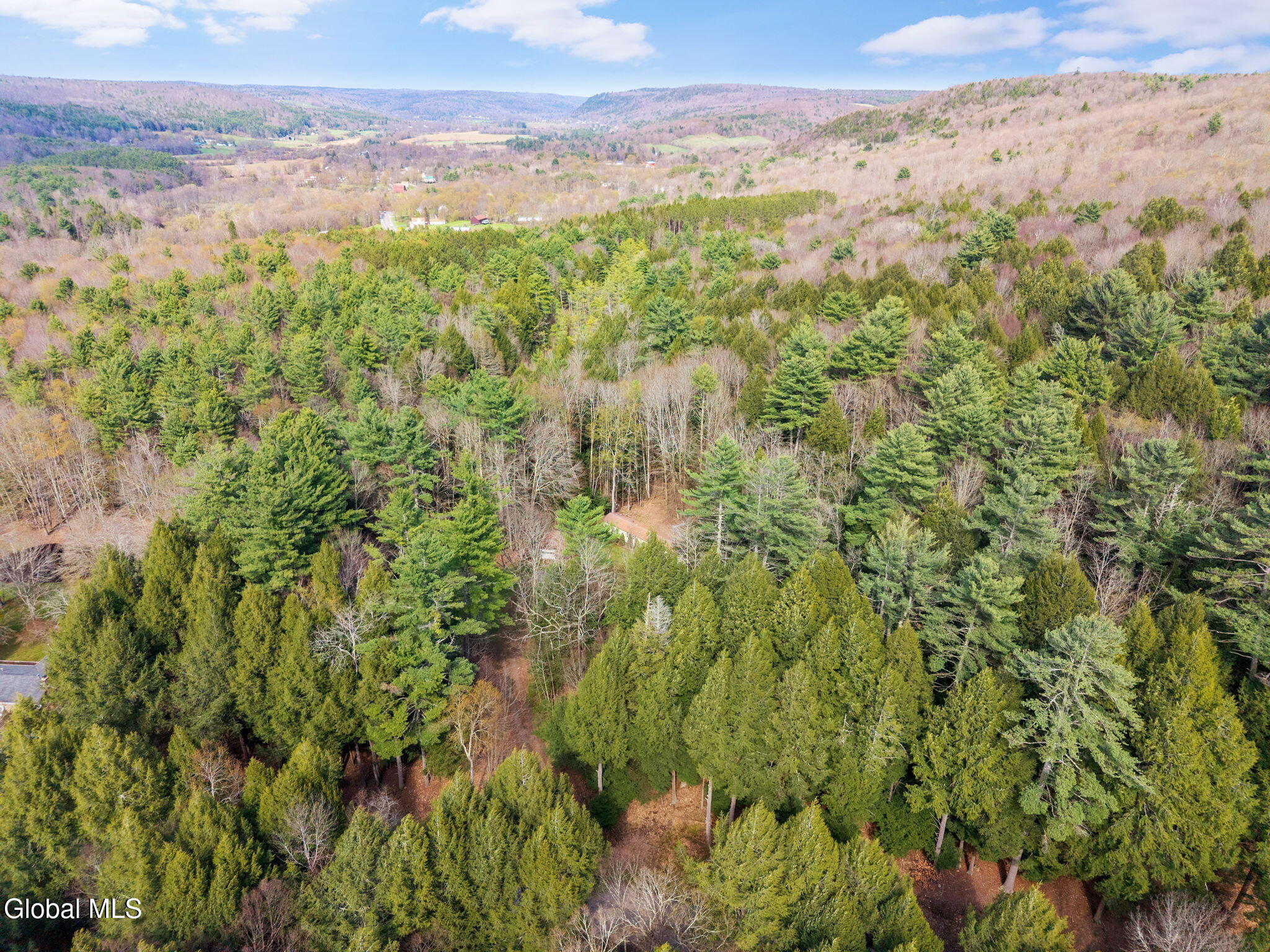 2284 Pumpkin Hollow Road Oneonta NY 13820
