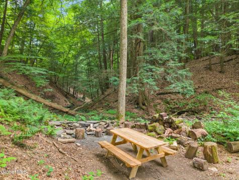 171 Strong Hill Road Schenevus NY 13488
