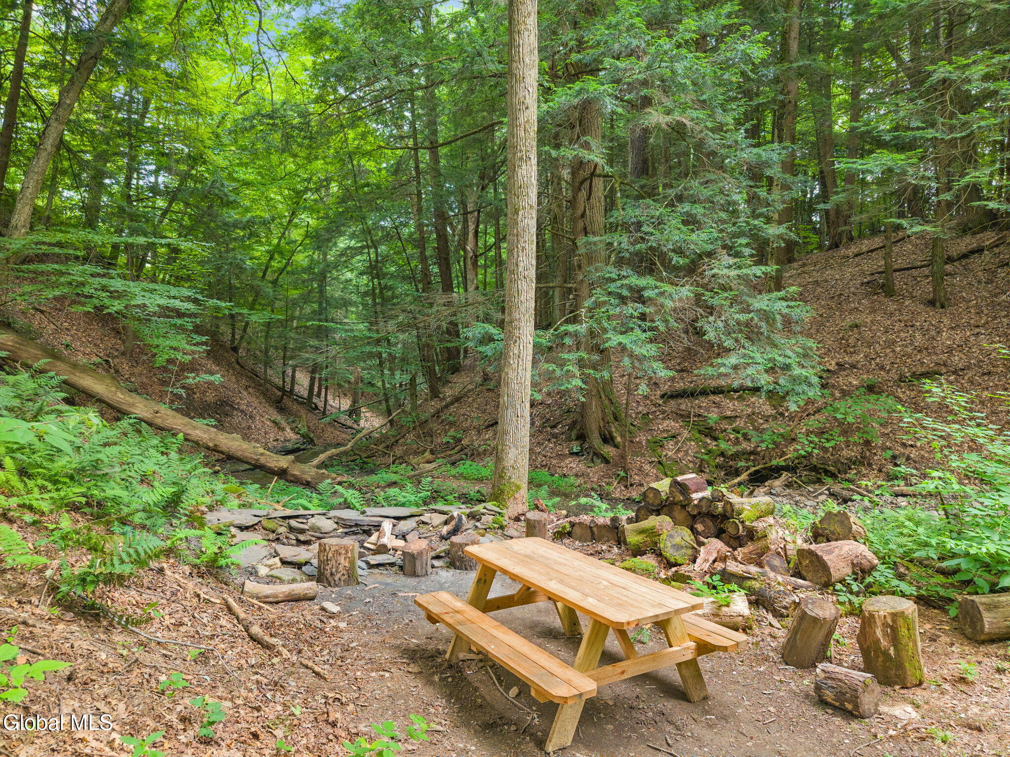 171 Strong Hill Road Schenevus NY 13488