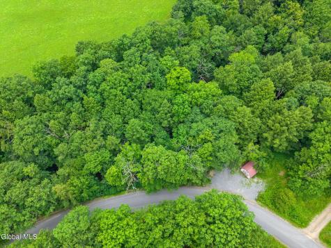171 Strong Hill Road Schenevus NY 13488