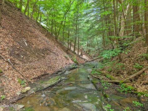 171 Strong Hill Road Schenevus NY 13488