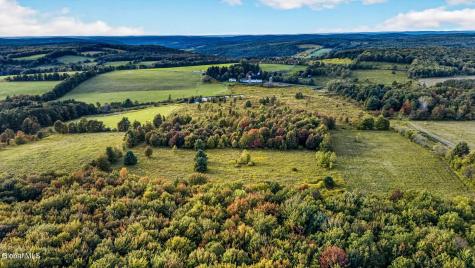 2614 Turnpike Road East Meredith NY 13757