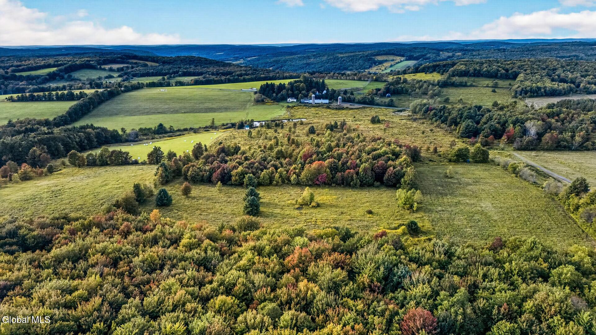 2614 Turnpike Road East Meredith NY 13757