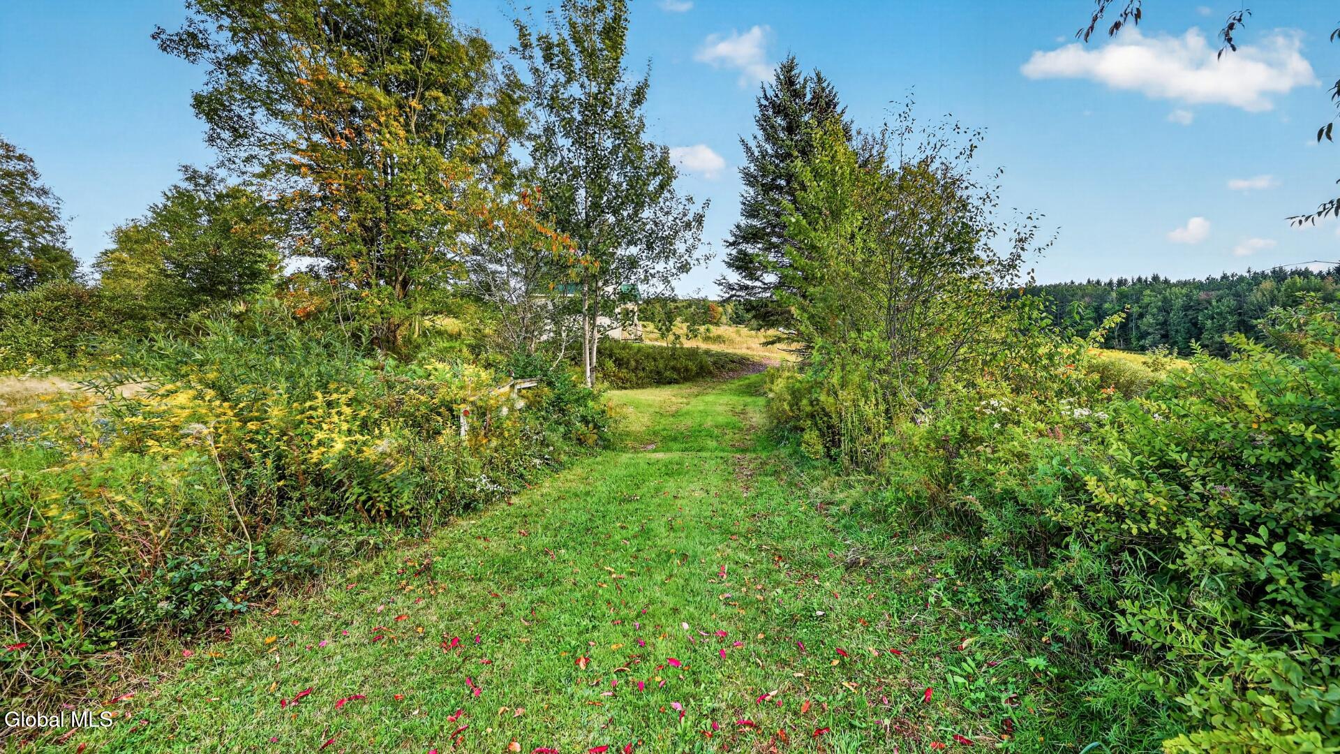 2614 Turnpike Road East Meredith NY 13757