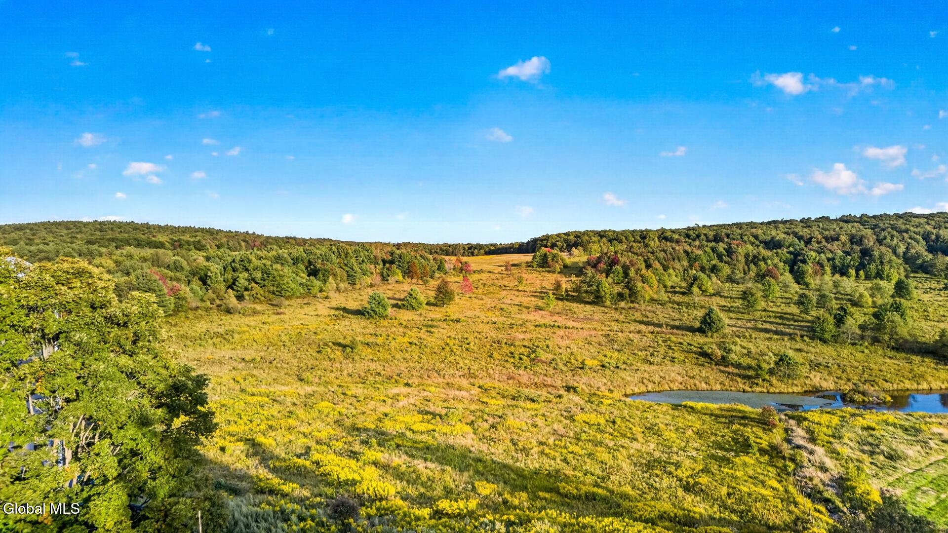 2614 Turnpike Road East Meredith NY 13757