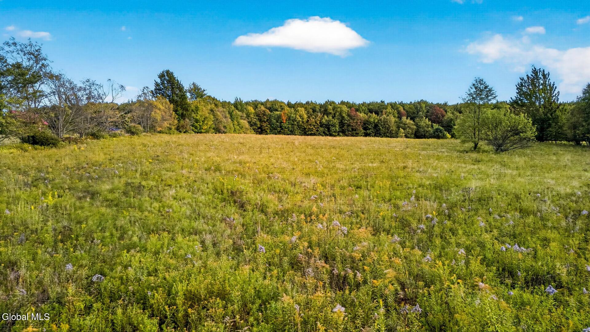 2614 Turnpike Road East Meredith NY 13757
