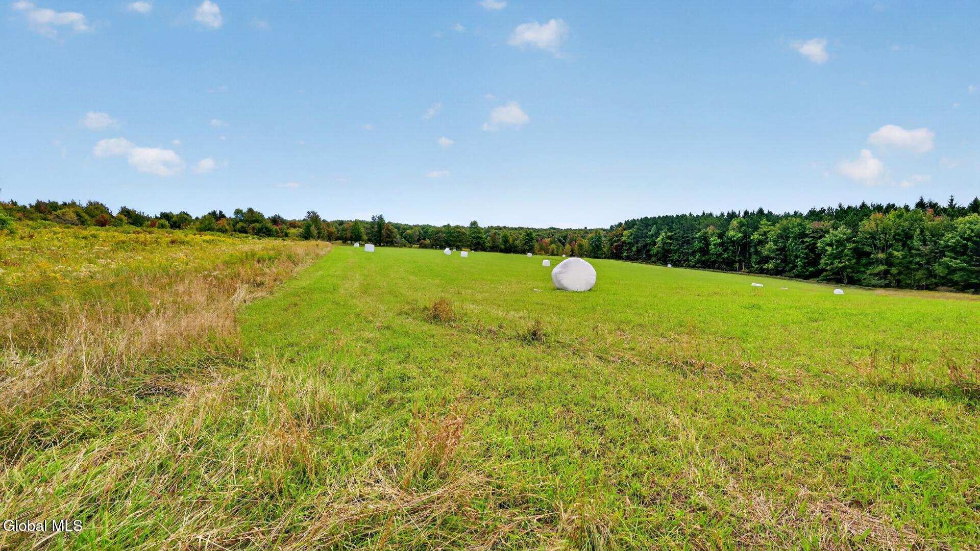 2614 Turnpike Road East Meredith NY 13757