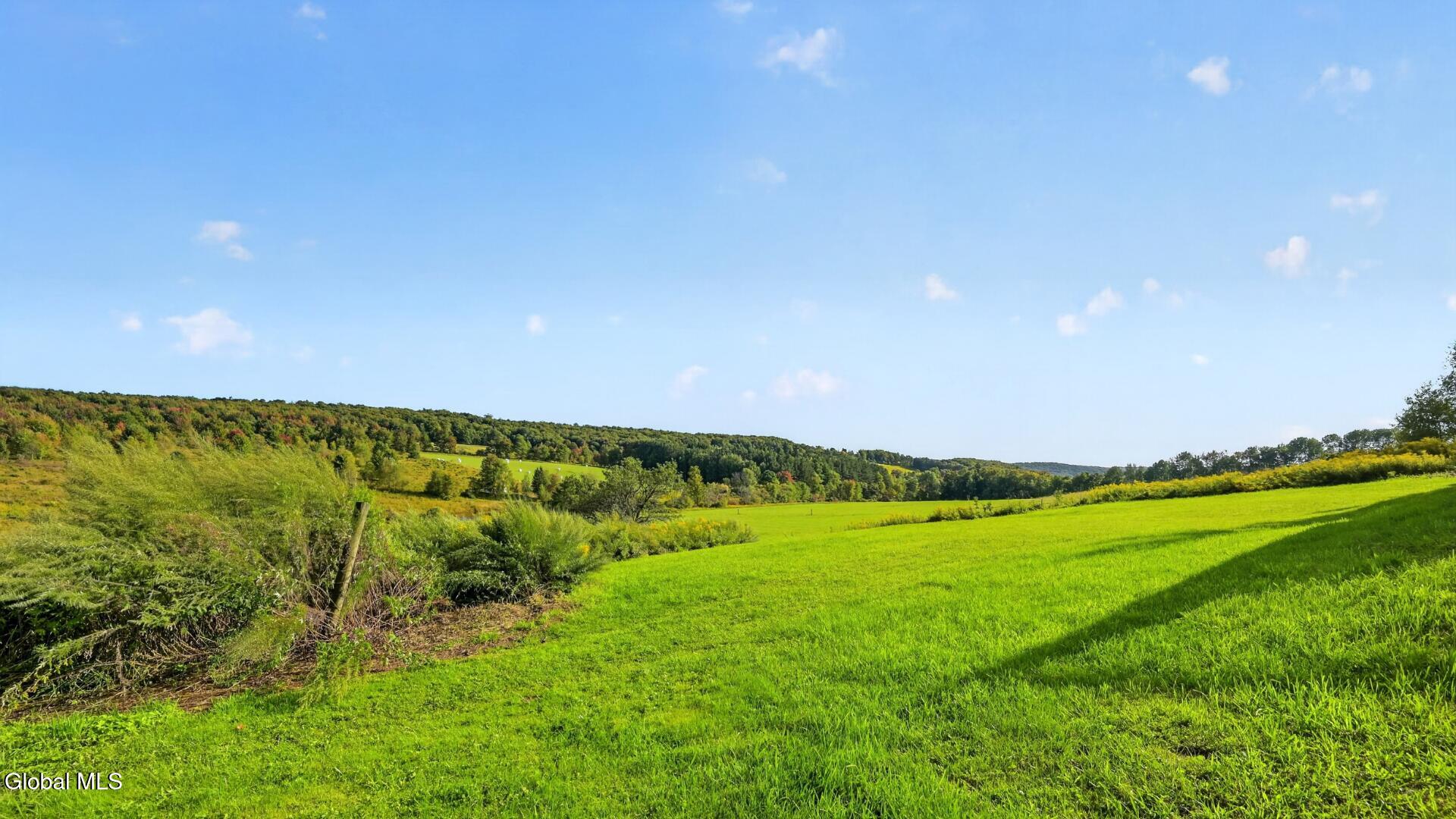 2614 Turnpike Road East Meredith NY 13757