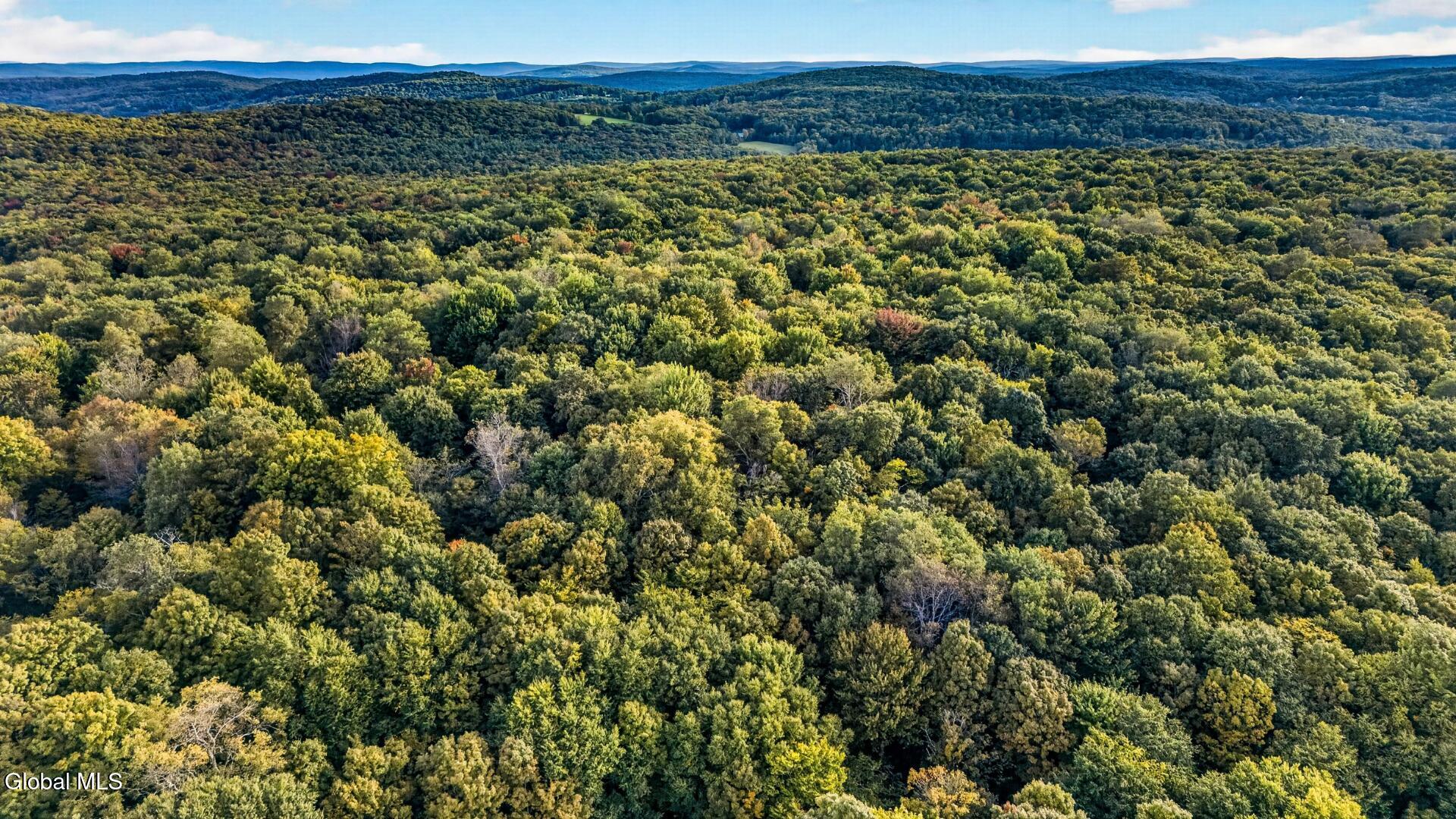 2614 Turnpike Road East Meredith NY 13757