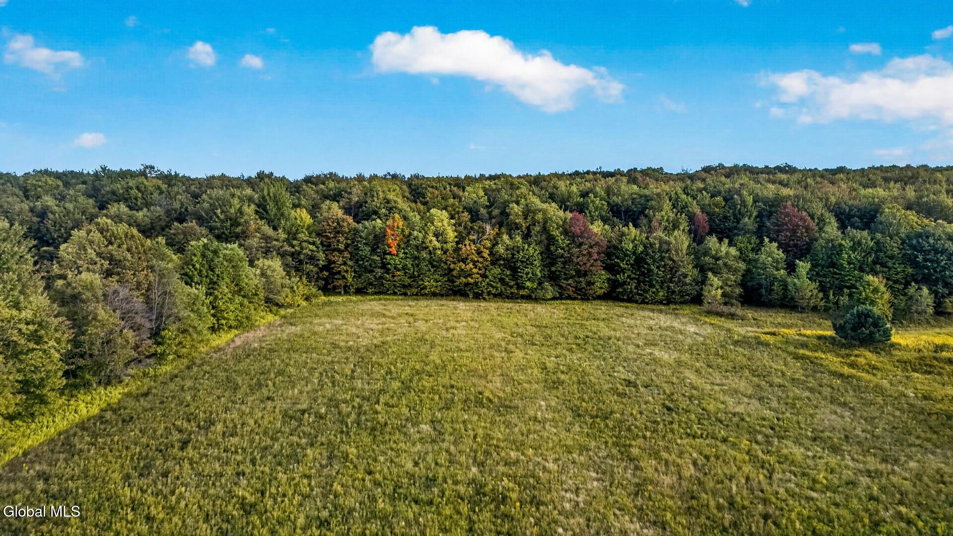 2614 Turnpike Road East Meredith NY 13757