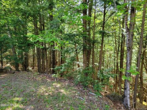 219 Old Schroon Road Pottersville NY 12860