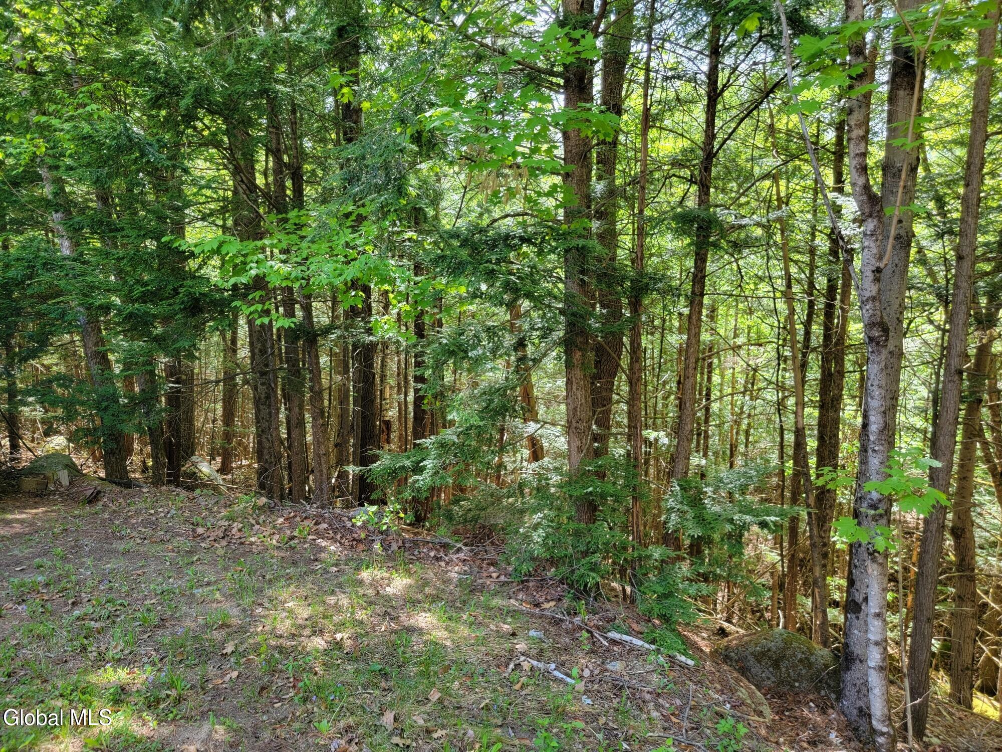 219 Old Schroon Road Pottersville NY 12860