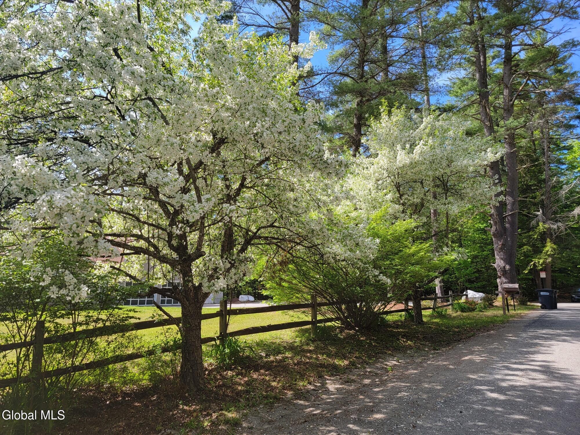 219 Old Schroon Road Pottersville NY 12860